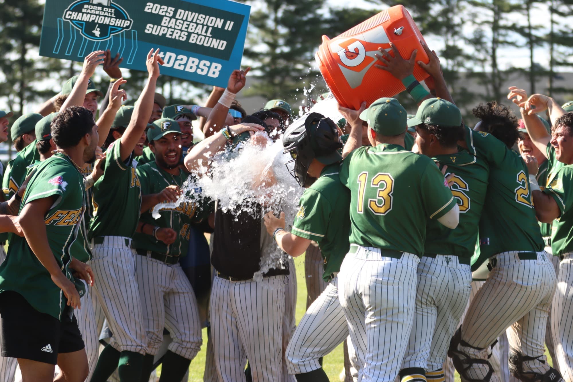 Felician University Baseball