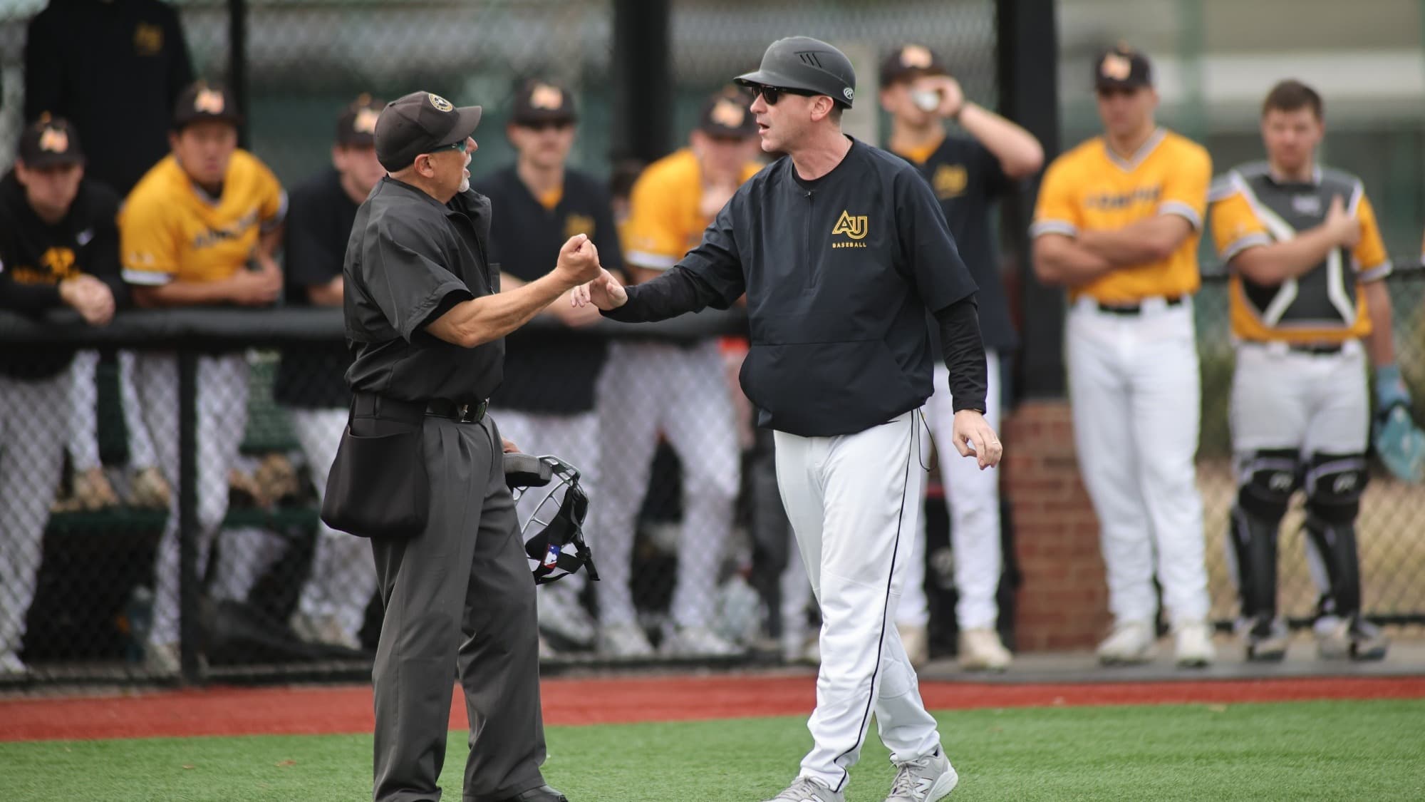 Adelphi University Baseball