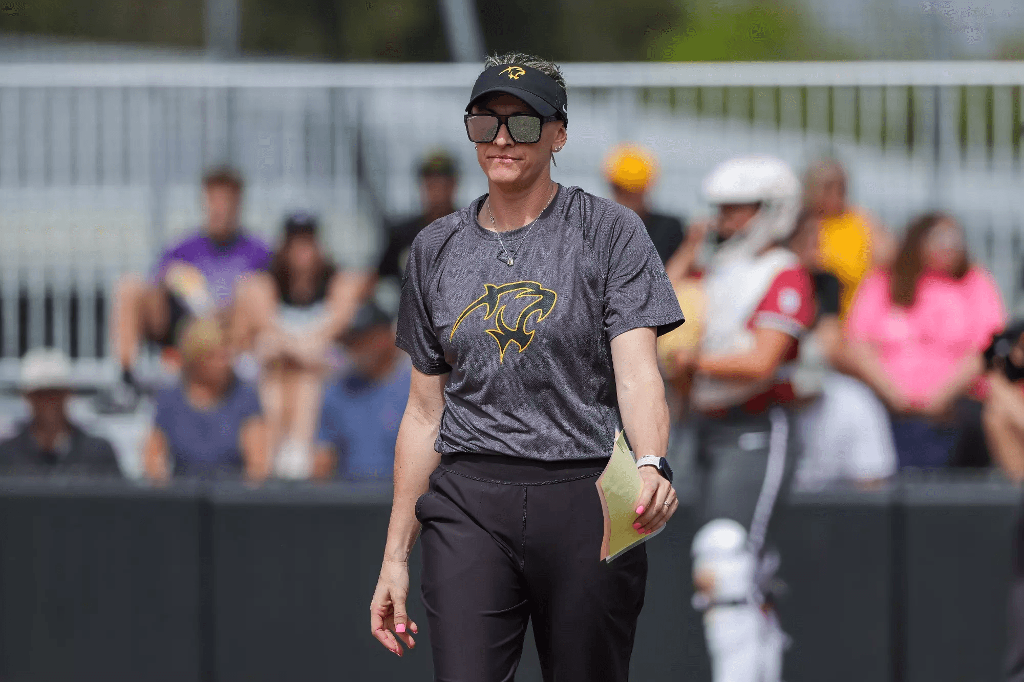 Adelphi University Softball