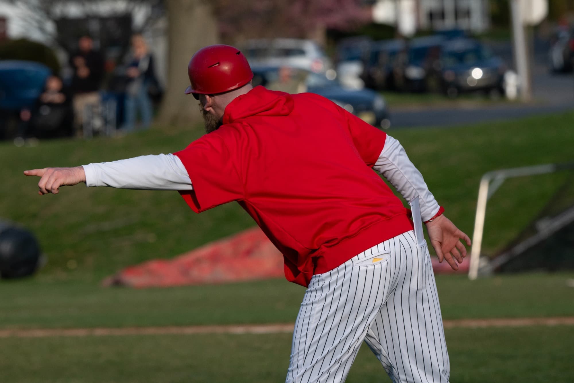 Albright College Baseball