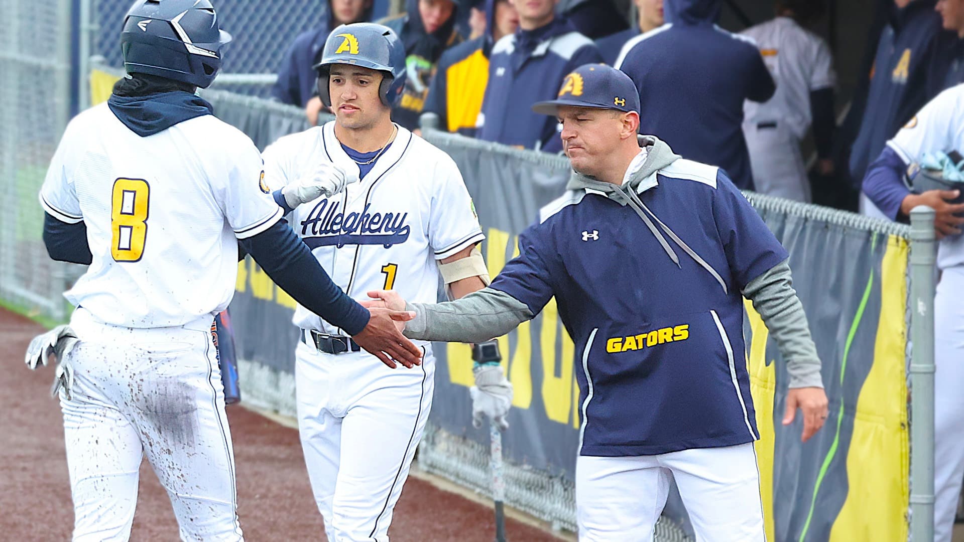 Allegheny College Baseball