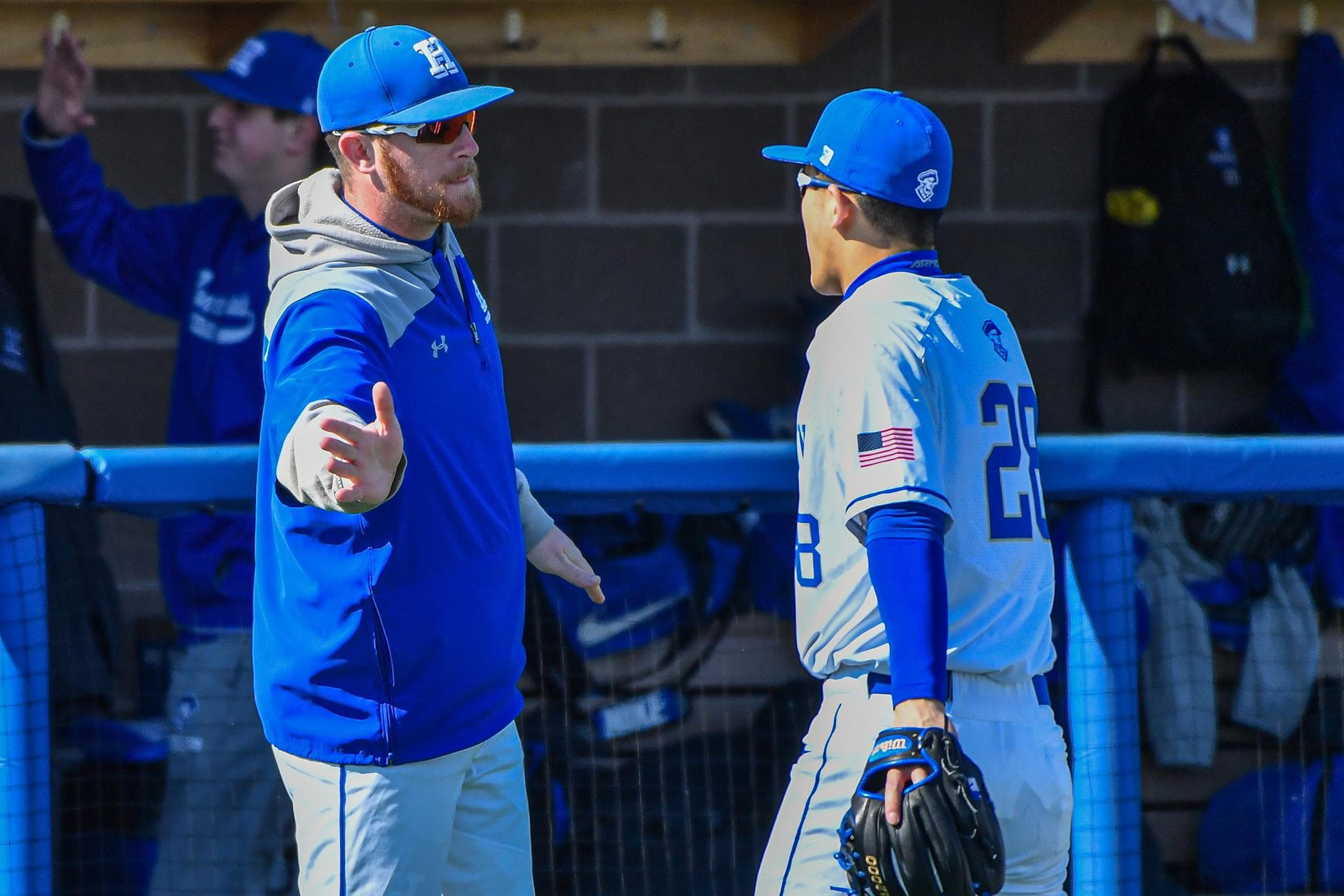 Hamilton College Baseball