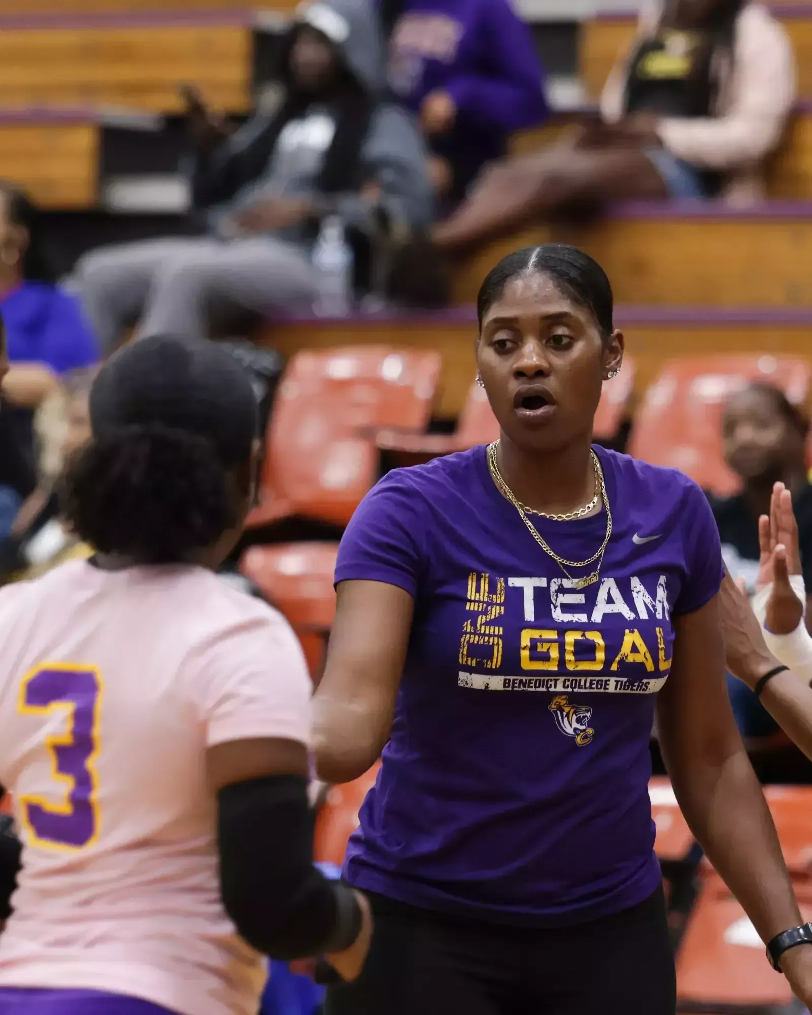 Benedict College Volleyball