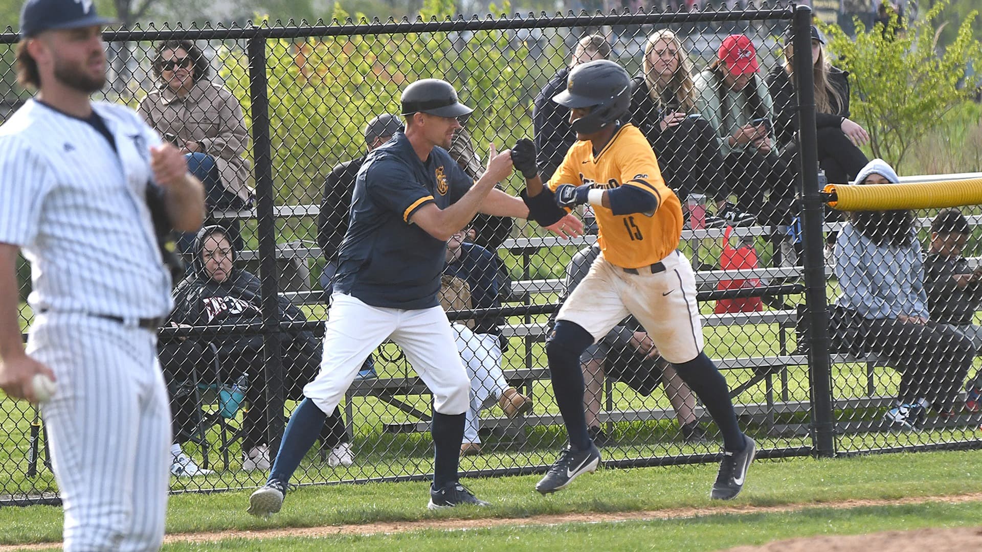 Canisius University Baseball