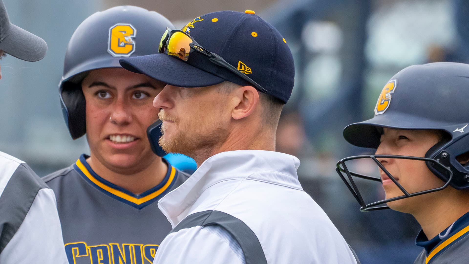 Canisius University Softball