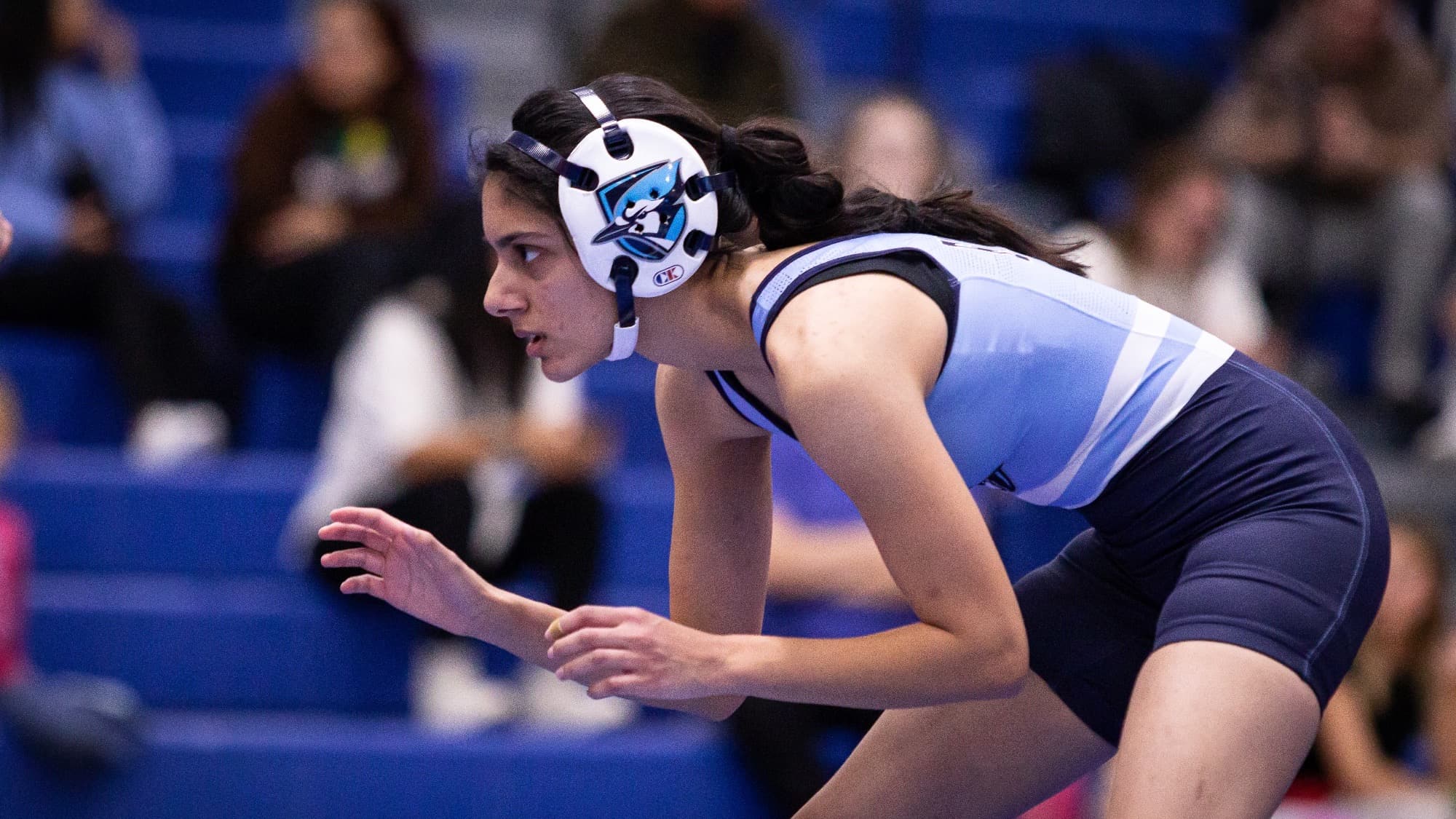 Elmhurst University Women's Wrestling