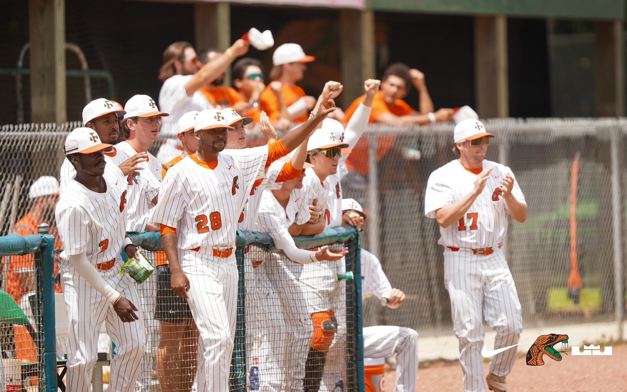 Florida Agricultural and Mechanical University Baseball