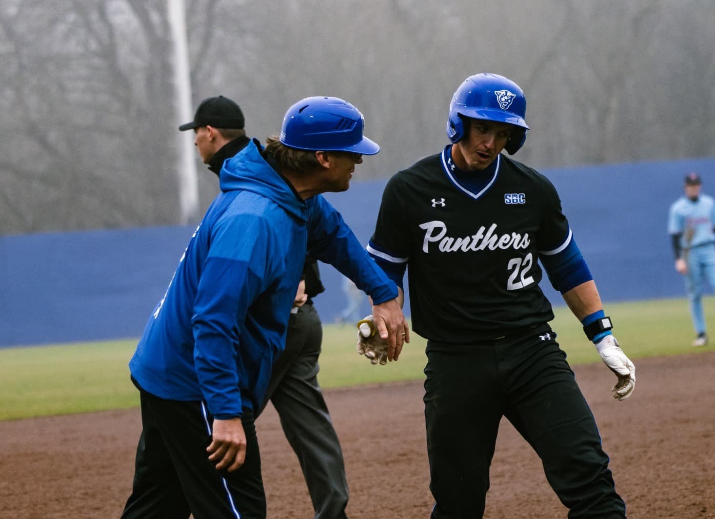 Georgia State University Baseball