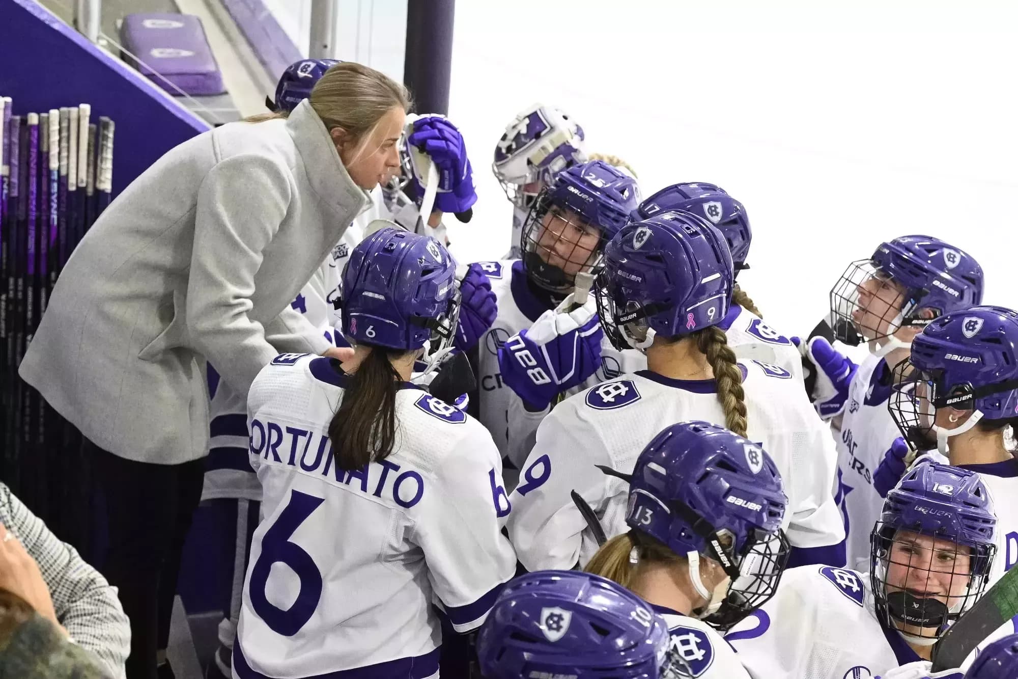 College of the Holy Cross Women's Ice Hockey