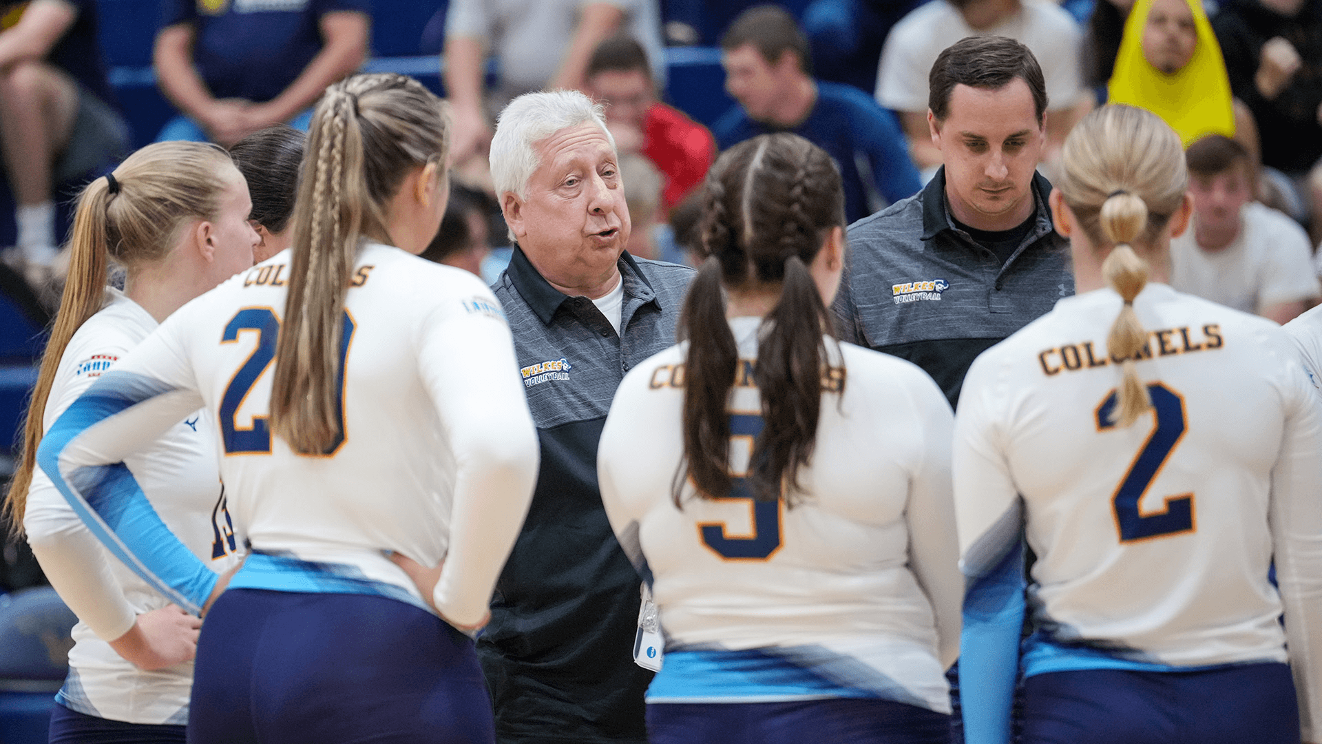 Wilkes University Men's Volleyball