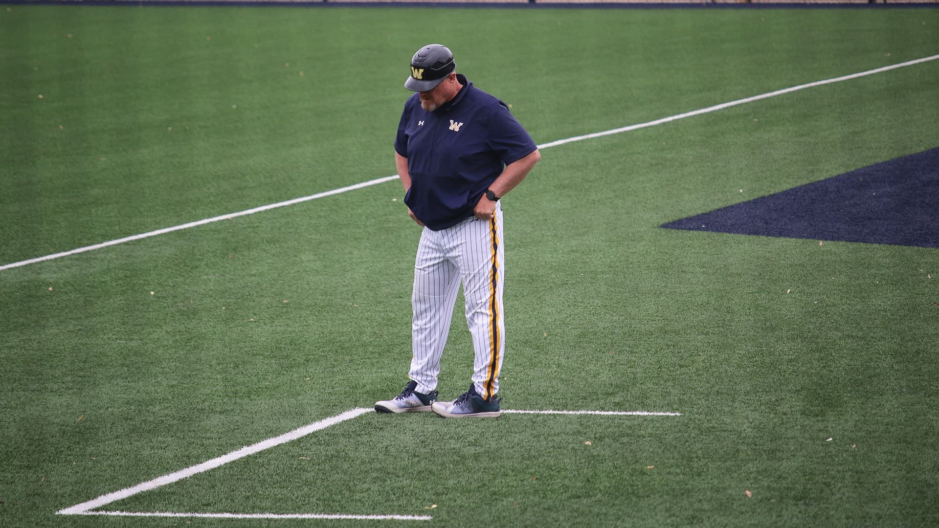 Wilkes University Baseball