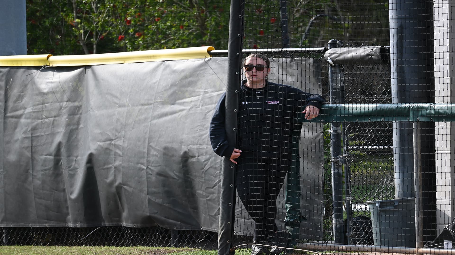 Molloy University Softball