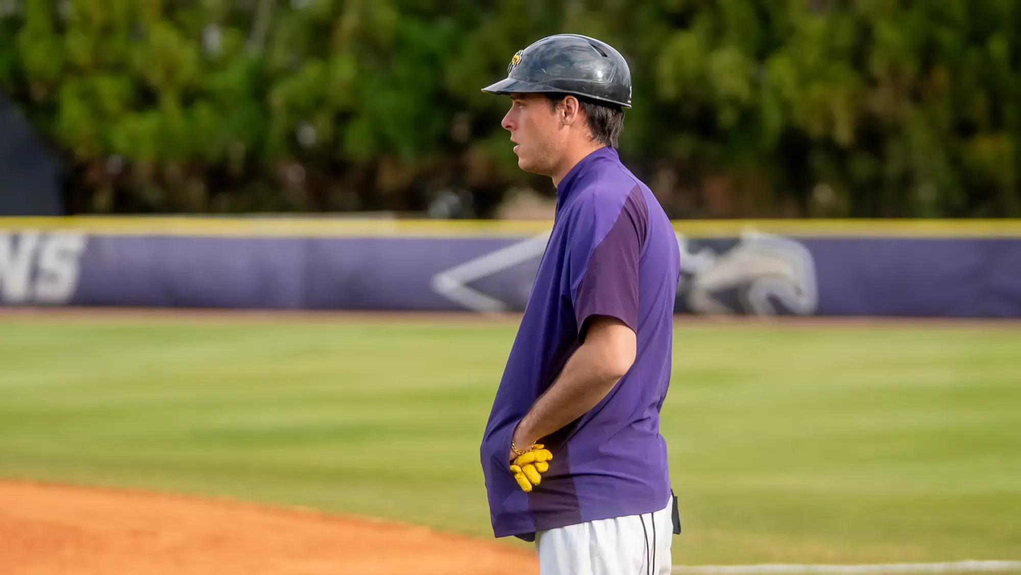 University of Montevallo Baseball