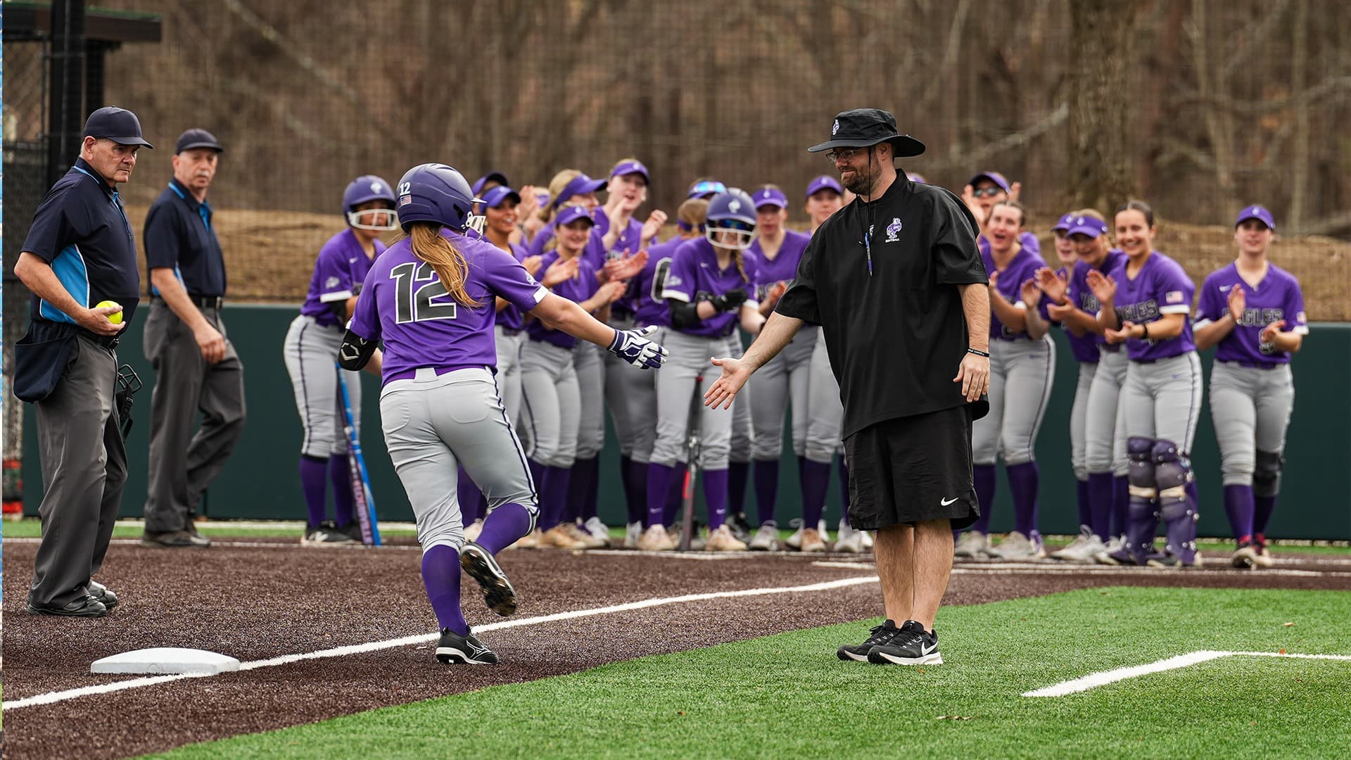 Niagara University Softball