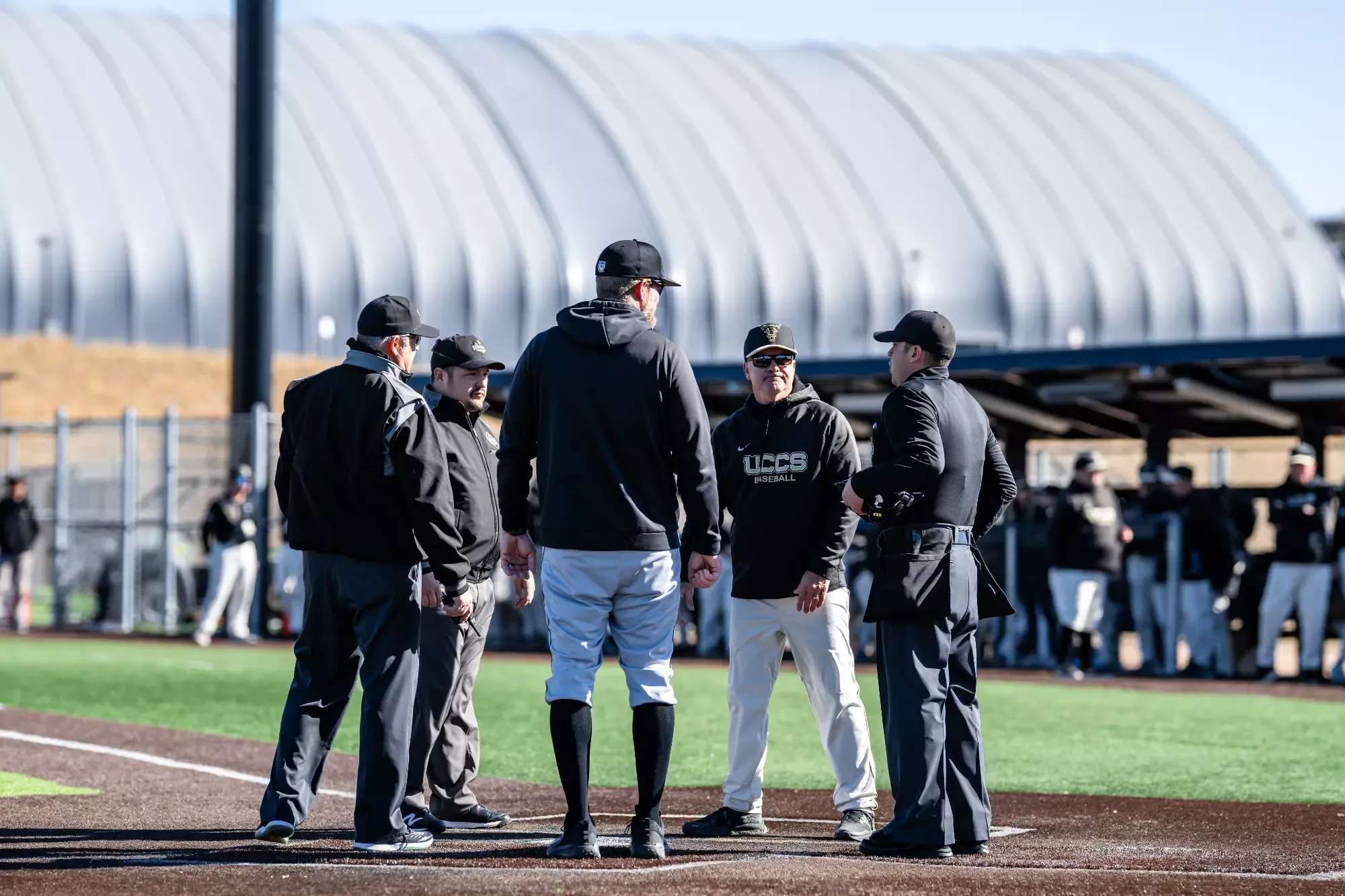 University of Colorado Colorado Springs Baseball