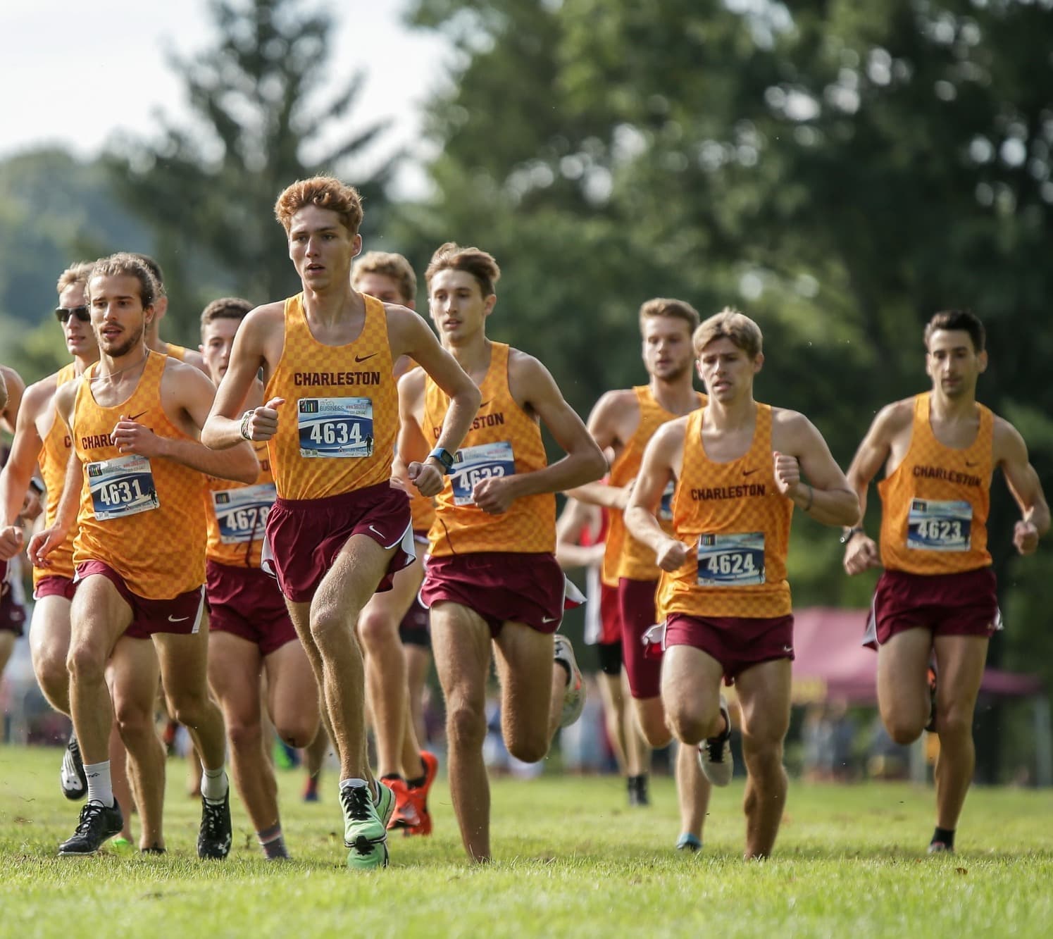 University of Charleston Men's Cross Country