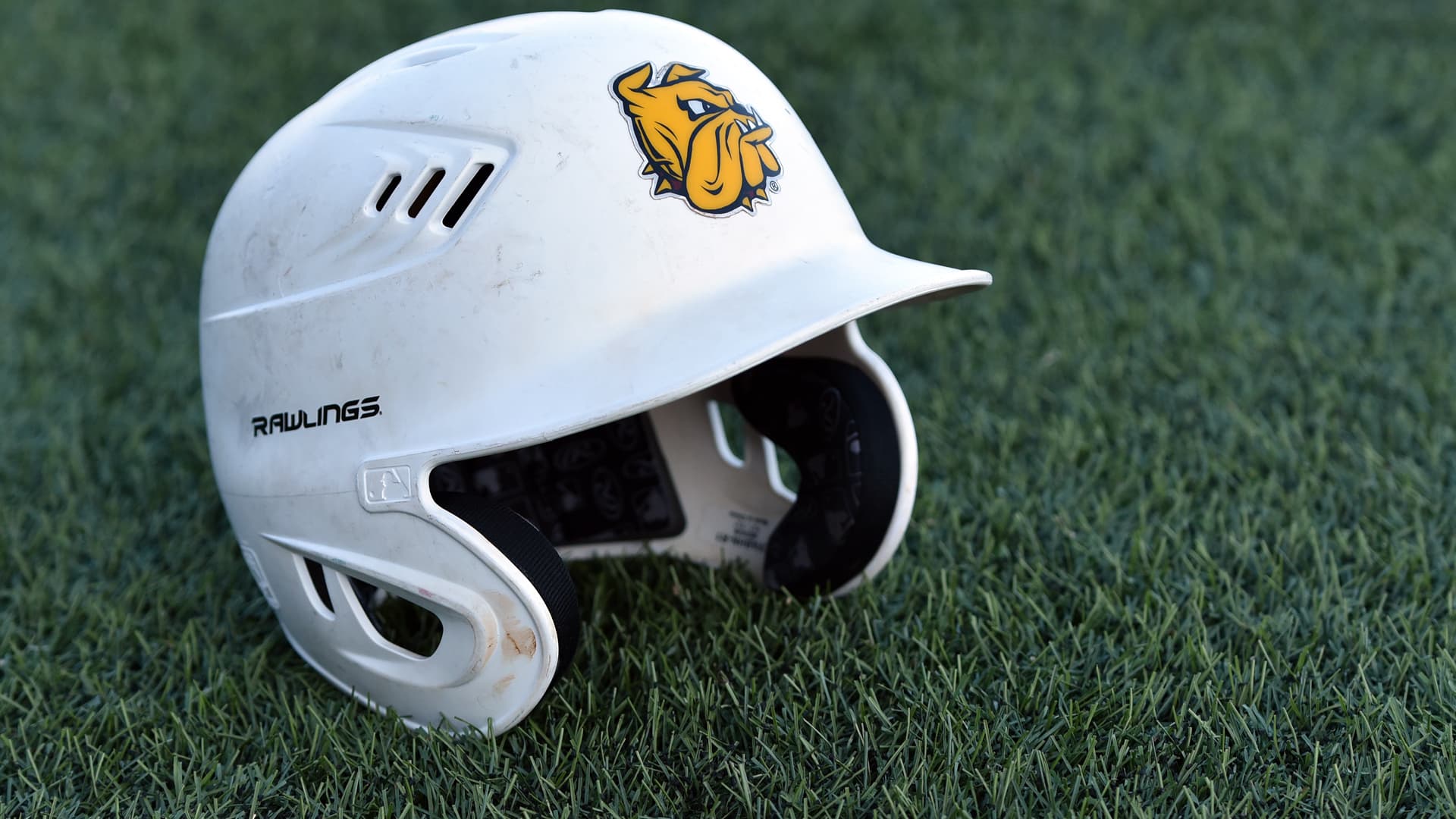 University of Minnesota-Duluth Baseball