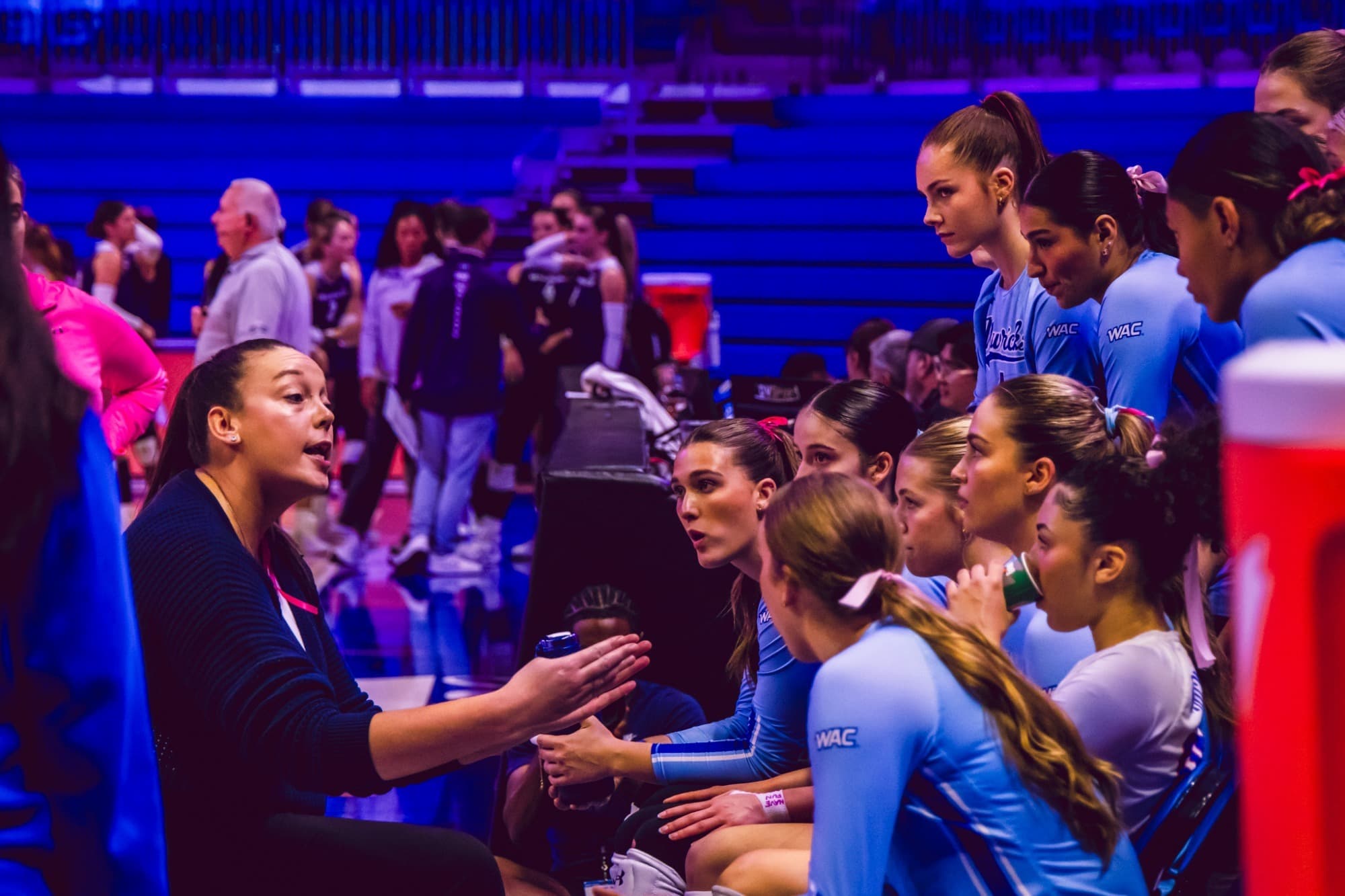 The University of Texas at Arlington Volleyball