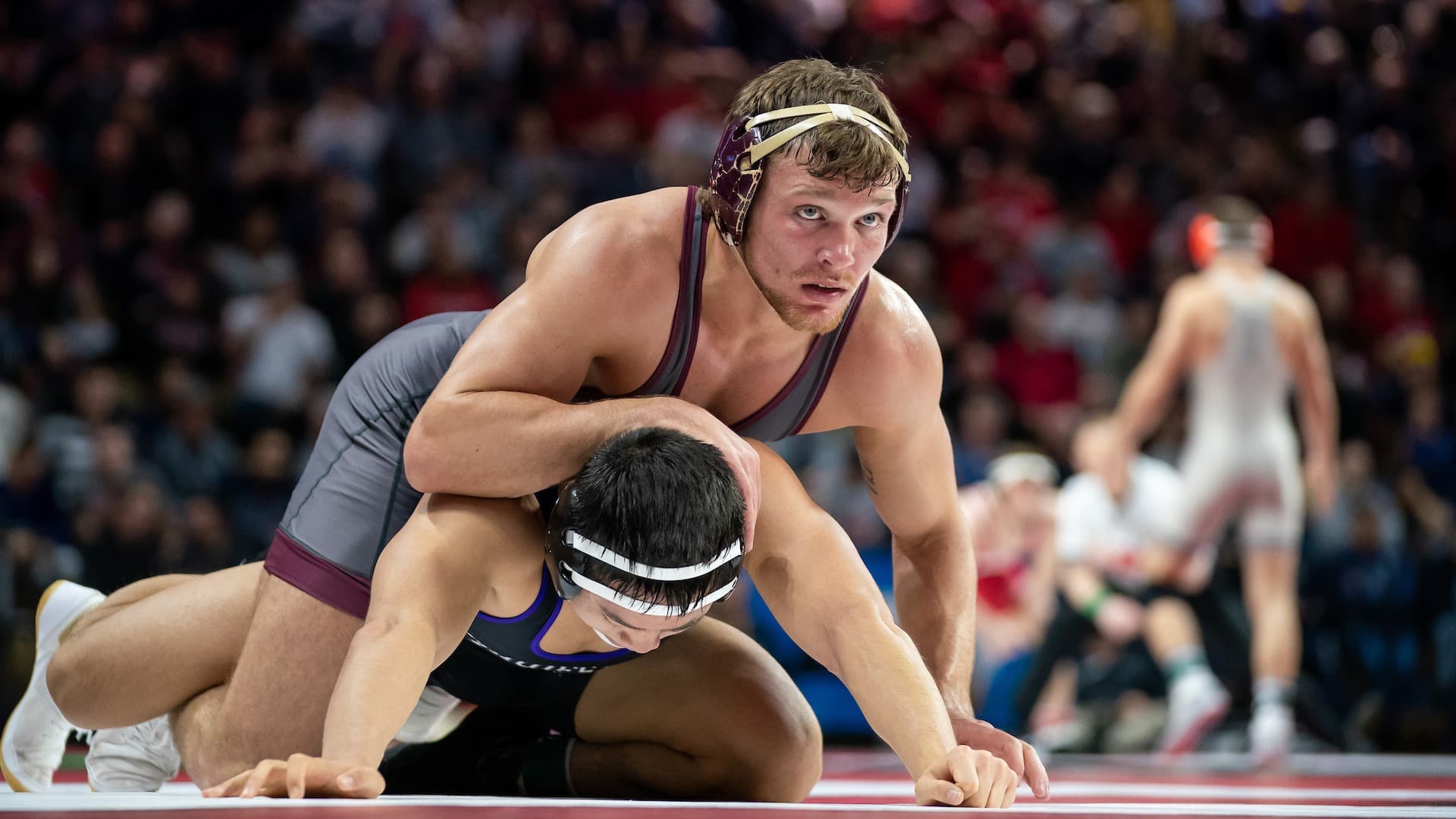 The University of Tennessee-Chattanooga Wrestling