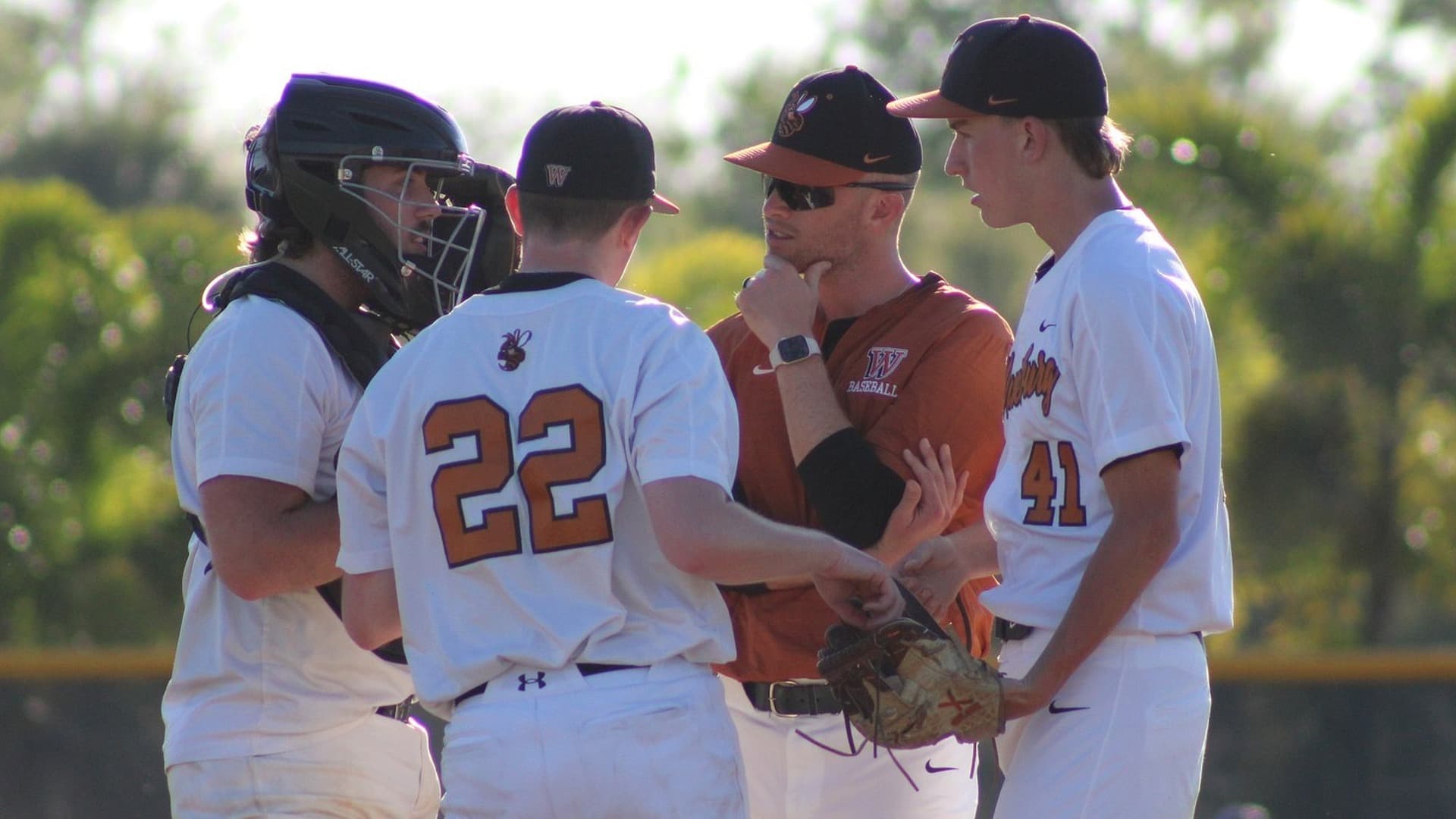 Waynesburg University Baseball