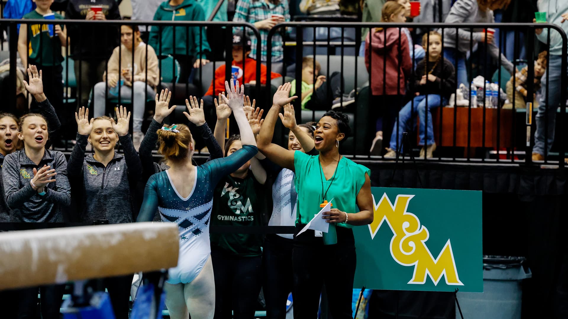 William & Mary Women's Gymnastics
