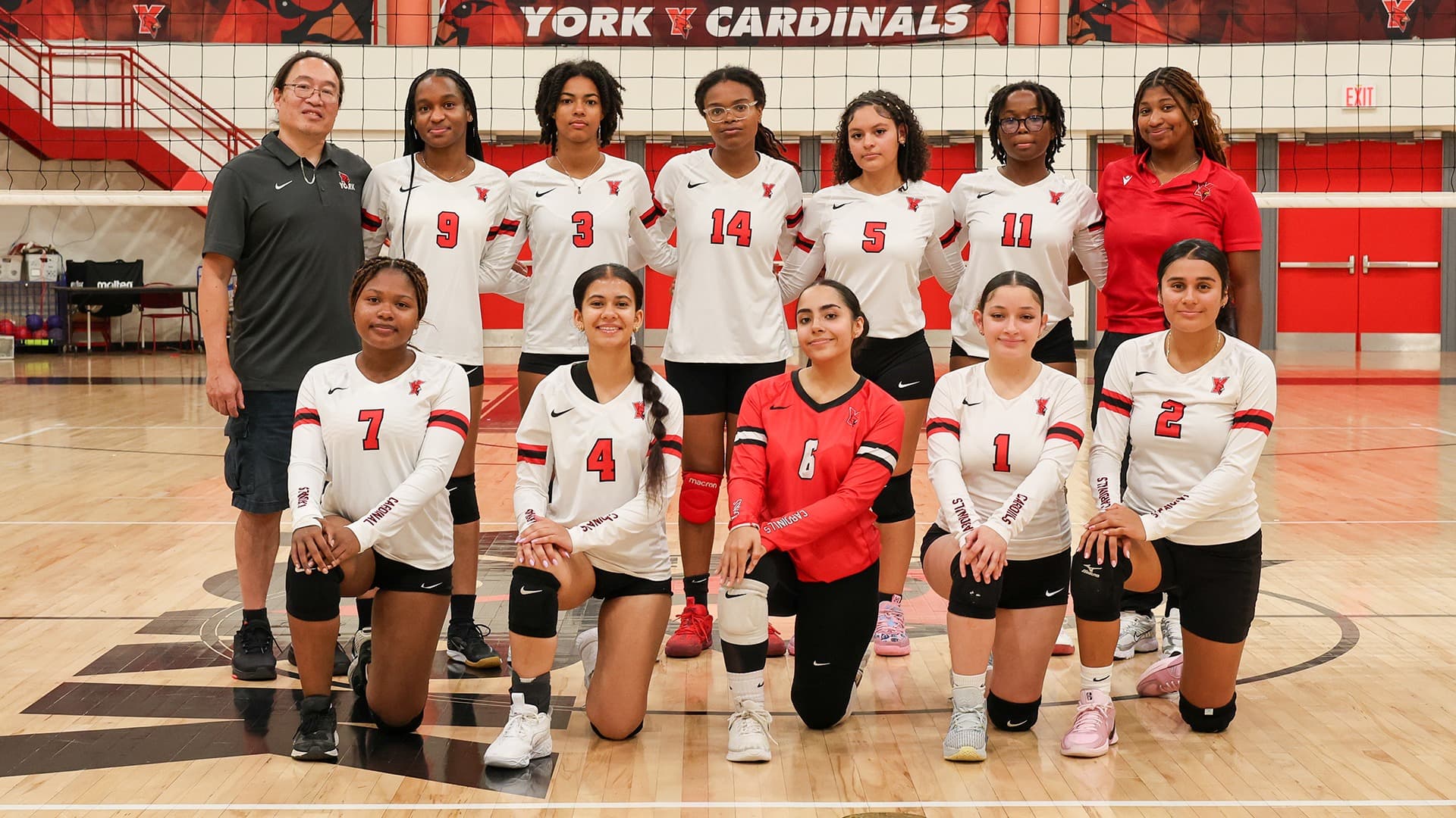 York University Volleyball