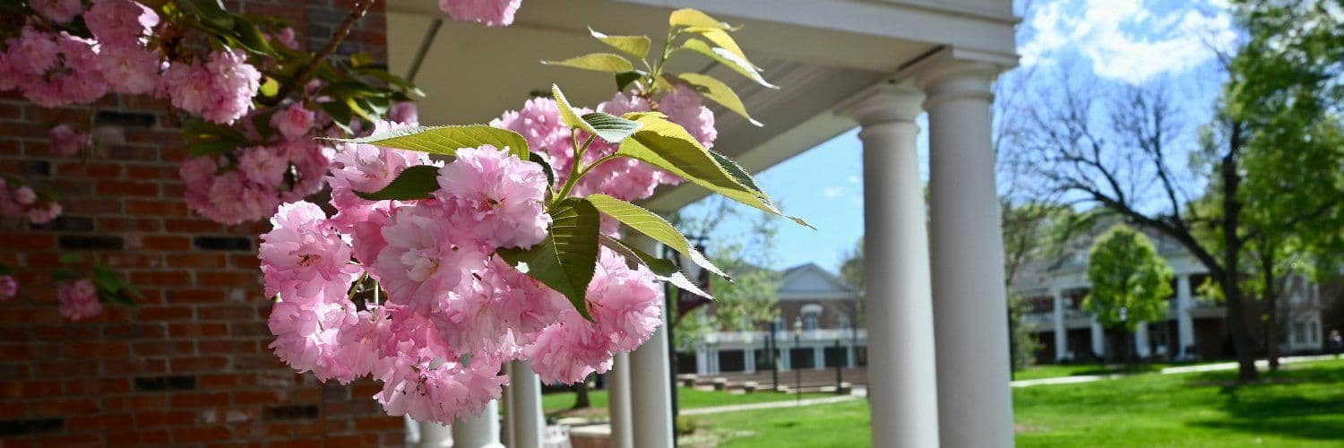 Elon University banner
