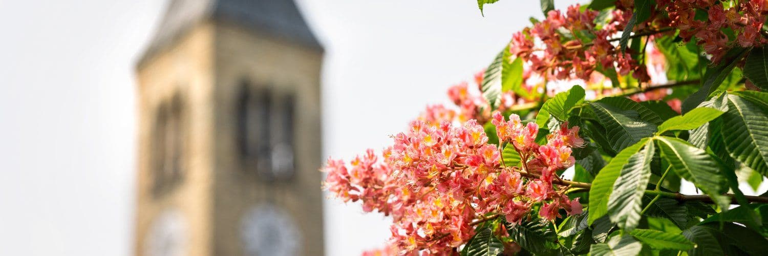 Cornell University Equestrian