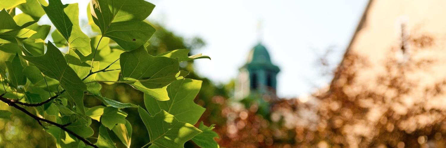 Seton Hall University banner