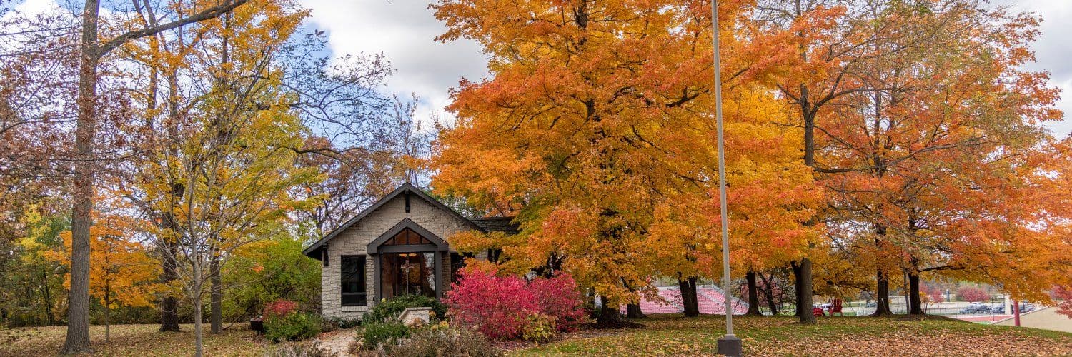 Carthage College banner